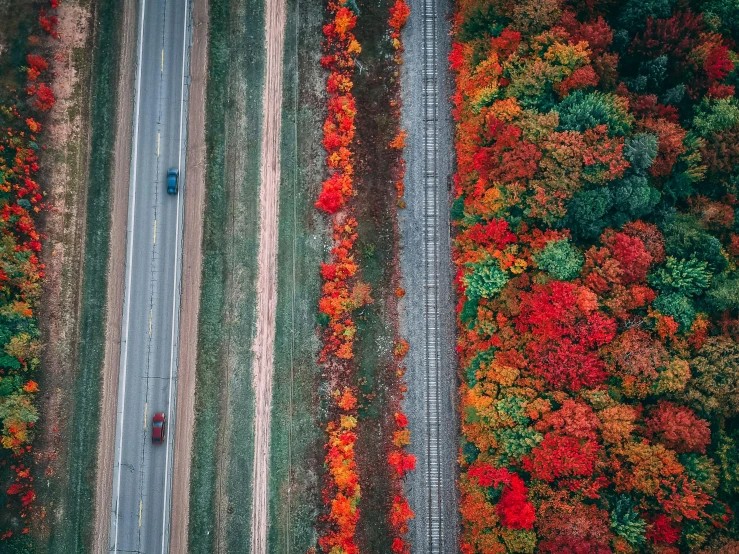 an aerial view of a road surrounded by colorful trees, by Adam Marczyński, pexels contest winner, green and red plants, michigan, fire lines, gray and orange colours