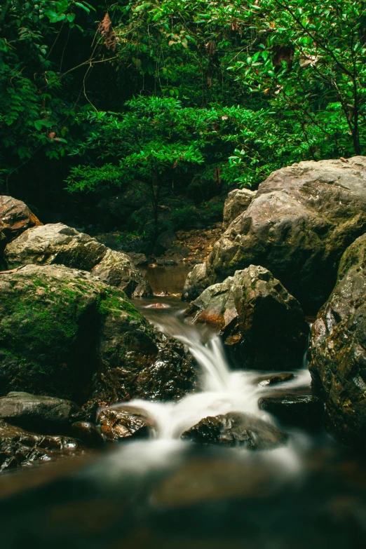 a stream running through a lush green forest, floating rocks, malaysia jungle, taken in the 2000s, landscape photograph