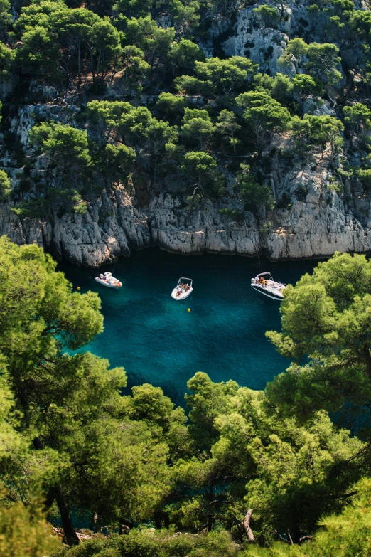 a group of boats floating on top of a body of water, les nabis, lush surroundings, over a calanque, pine trees, top - down photograph