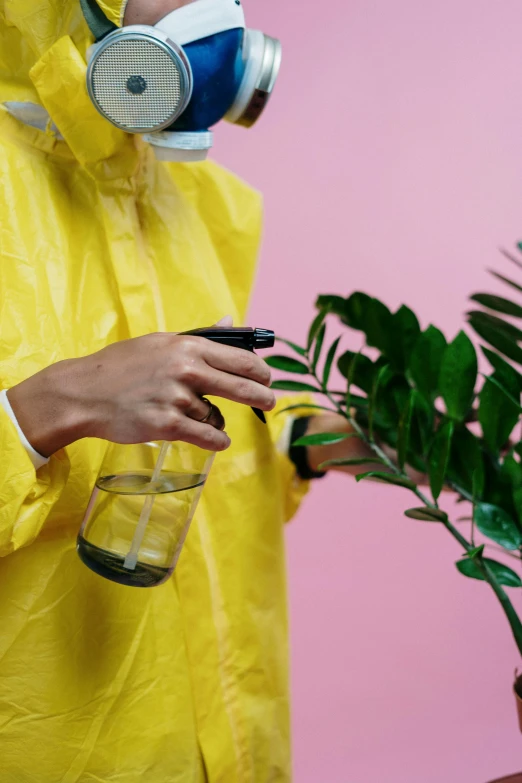 a person in a yellow raincoat holding a plant, trending on pexels, aestheticism, spraying liquid, wearing a light - pink suit, plant specimens, wearing gloves