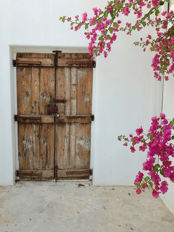 a white wall with a wooden door and pink flowers, inspired by Riad Beyrouti, unsplash, somalia, low quality photo, john pawson, video footage