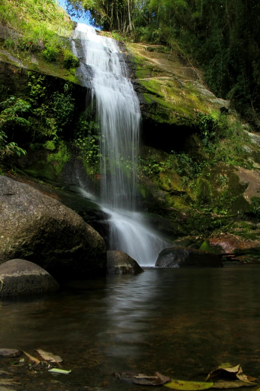 a waterfall in the middle of a lush green forest, by Peter Churcher, slide show, tamborine, clean image