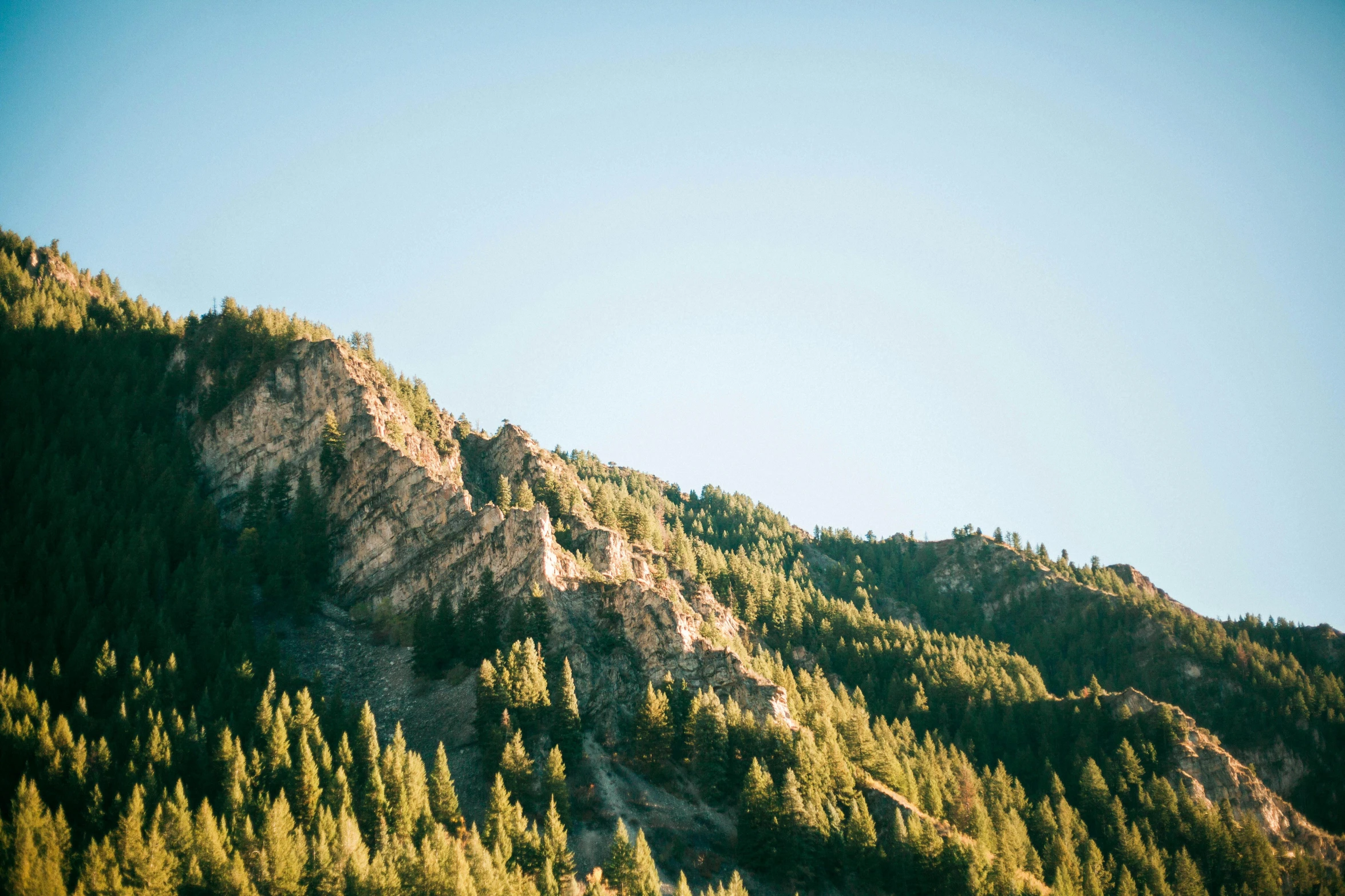 a mountain with lots of trees on top of it, by Jessie Algie, unsplash, idaho, cliff side, clear sky above, late afternoon sun