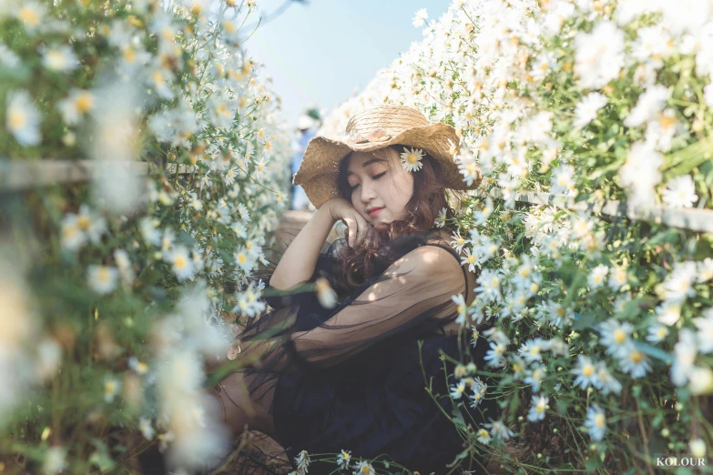 a woman sitting in a field of flowers, by Tan Ting-pho, unsplash, romanticism, wearing black dress and hat, chamomile, covered in vines, medium format