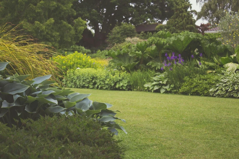 a garden filled with lots of green plants, by Carey Morris, pexels, grey, lawn, brown, an elegant green