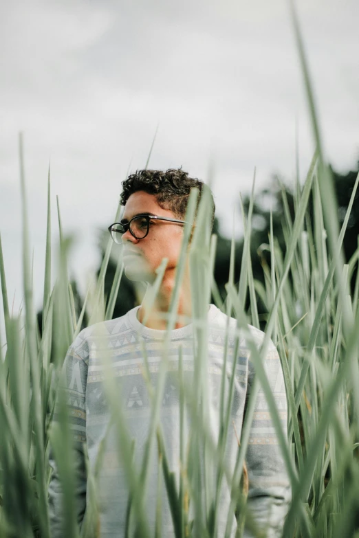 a man standing in a field of tall grass, an album cover, by Jacob Toorenvliet, pexels, man with glasses, androgynous person, avatar image, reeds