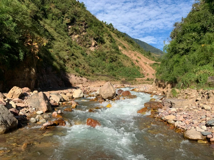 a river running through a lush green forest, by Muggur, hurufiyya, vacation photo, quechua, avatar image