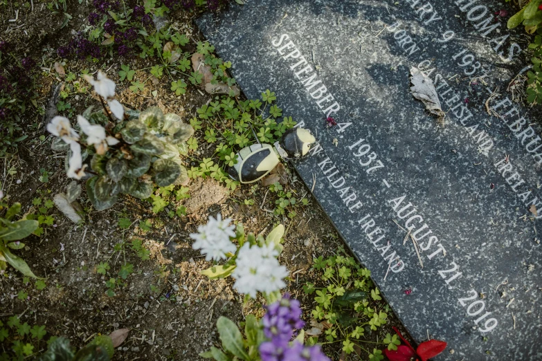 a close up of a grave with flowers on the ground, an album cover, by artist, unsplash, realism, bird\'s eye view, background image, fan favorite, high quality image”