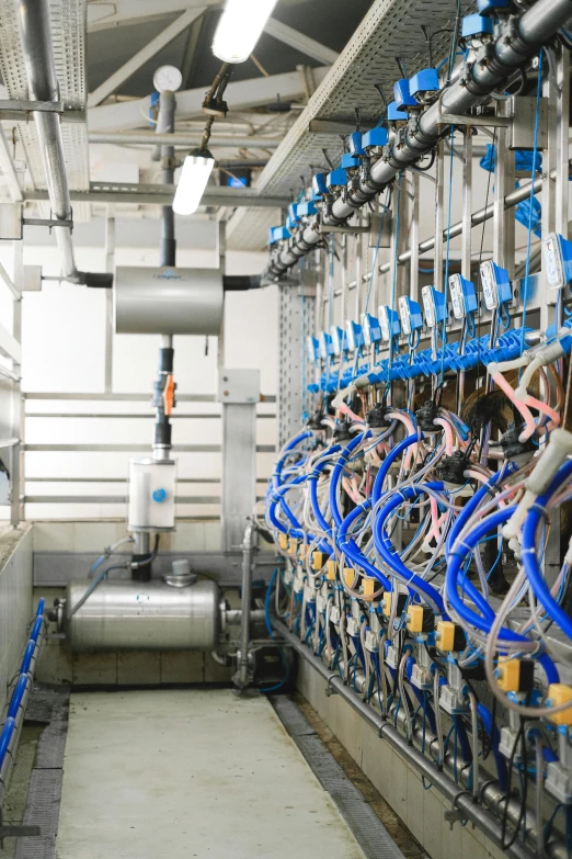 a bunch of machines that are inside of a building, flowing milk, cables hanging, blue, farming