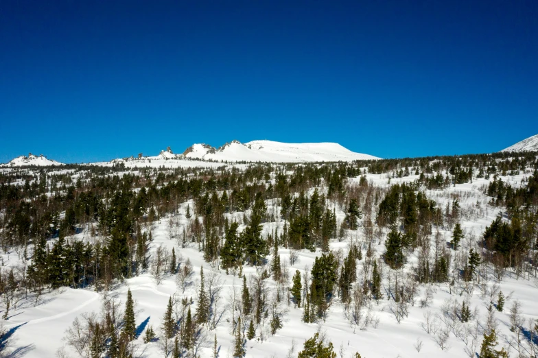 a man riding skis down a snow covered slope, inspired by Einar Hakonarson, unsplash, les nabis, hill with trees, clear blue sky, seen from a distance, taiga landscape