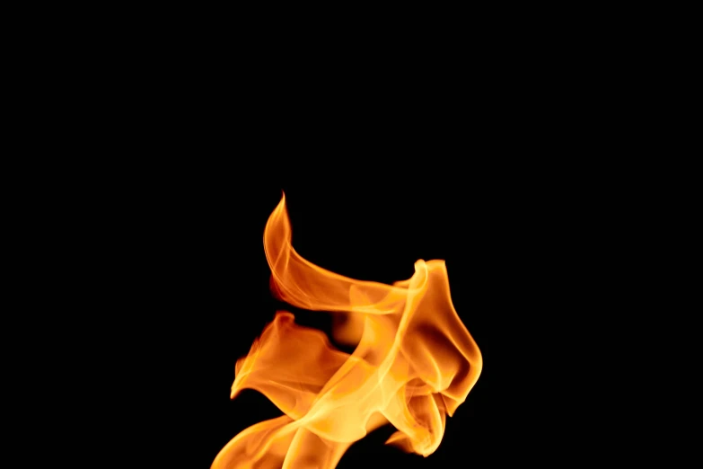 a close up of a fire on a black background, by Jan Rustem, photostock, isolated on white background, artwork, simplistic