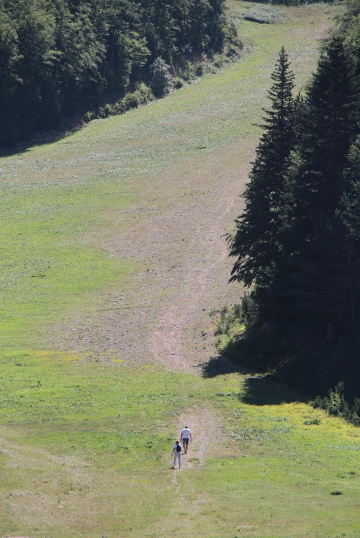 a man riding a bike down a lush green hillside, les nabis, skiing, summer afternoon, zoomed out, slide show