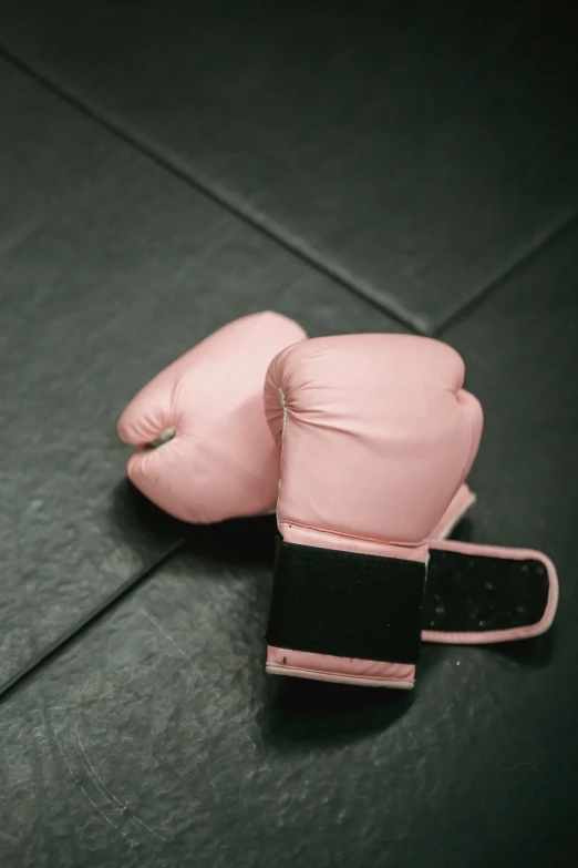 a pair of pink boxing gloves on a tiled floor, pexels contest winner, happening, battle position, vp of marketing, tiffany dover, panel