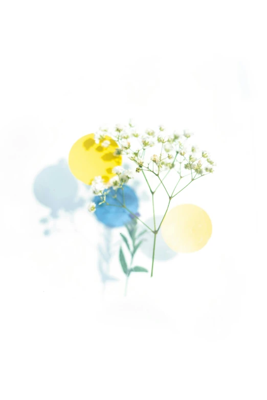 a bunch of flowers sitting on top of a white surface, a picture, by Tan Ting-pho, light and space, blue and yellow gradient, ( ( generative ) ), gypsophila, portrait image
