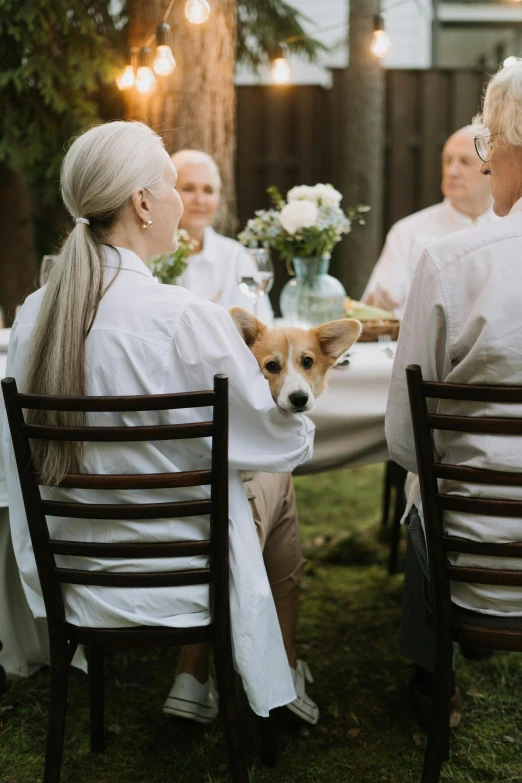 a group of people sitting around a table with a dog, linen, midsommar color theme, white - haired fox, fine dining