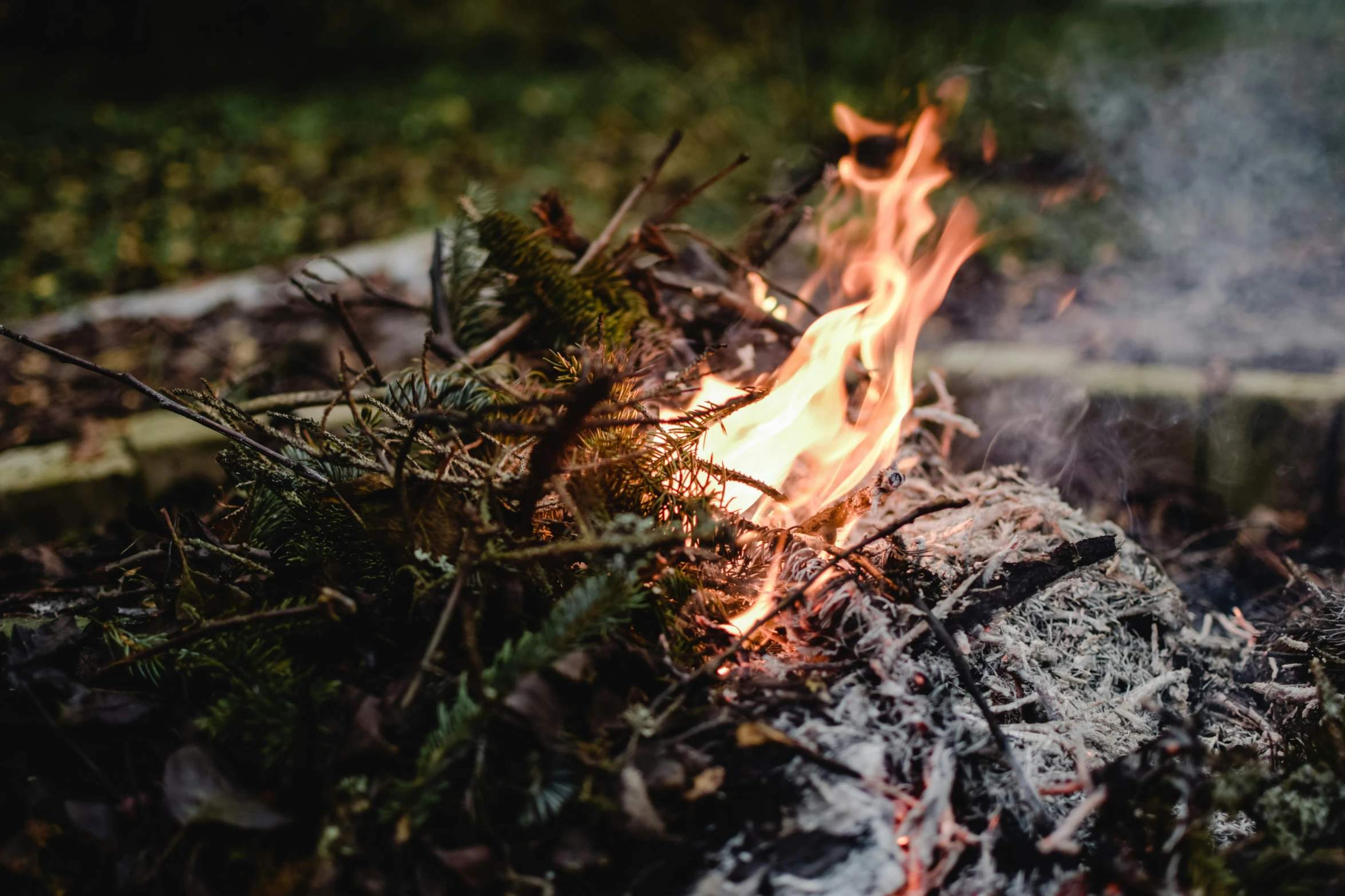 a close up of a fire in the woods, pexels contest winner, al fresco, rituals, flattened, flame shrubs