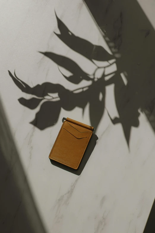 a wallet sitting on top of a table next to a plant, a picture, light tan, thumbnail, tan, dramatic product shot