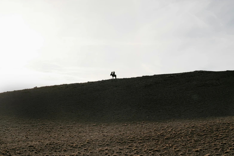 a person riding a horse on top of a hill, by Daniel Seghers, unsplash contest winner, minimalism, on the sand, hammershøi, low quality photo, 8k quality