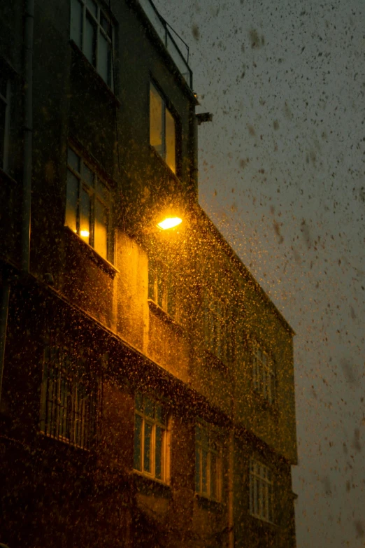 a street light sitting next to a tall building, an album cover, inspired by Elsa Bleda, pexels contest winner, conceptual art, swarm of fireflies, window ( rain ), swarming with insects, morning lighting