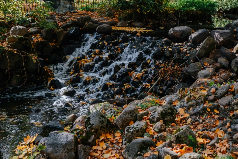 a stream running through a lush green forest, unsplash, realism, autum garden, covered in fallen leaves, gardens and fountains, 2 0 0 0's photo