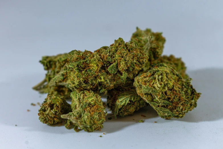 a pile of marijuana buds on a white surface, unsplash, hurufiyya, thick jungle, vibrant.-h 704, profile shot, indoor picture