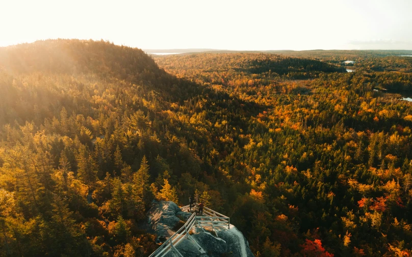 a helicopter flying over a forest filled with trees, by Emma Andijewska, pexels contest winner, les nabis, vermont fall colors, iron giant at sunset, quebec, towering over your view