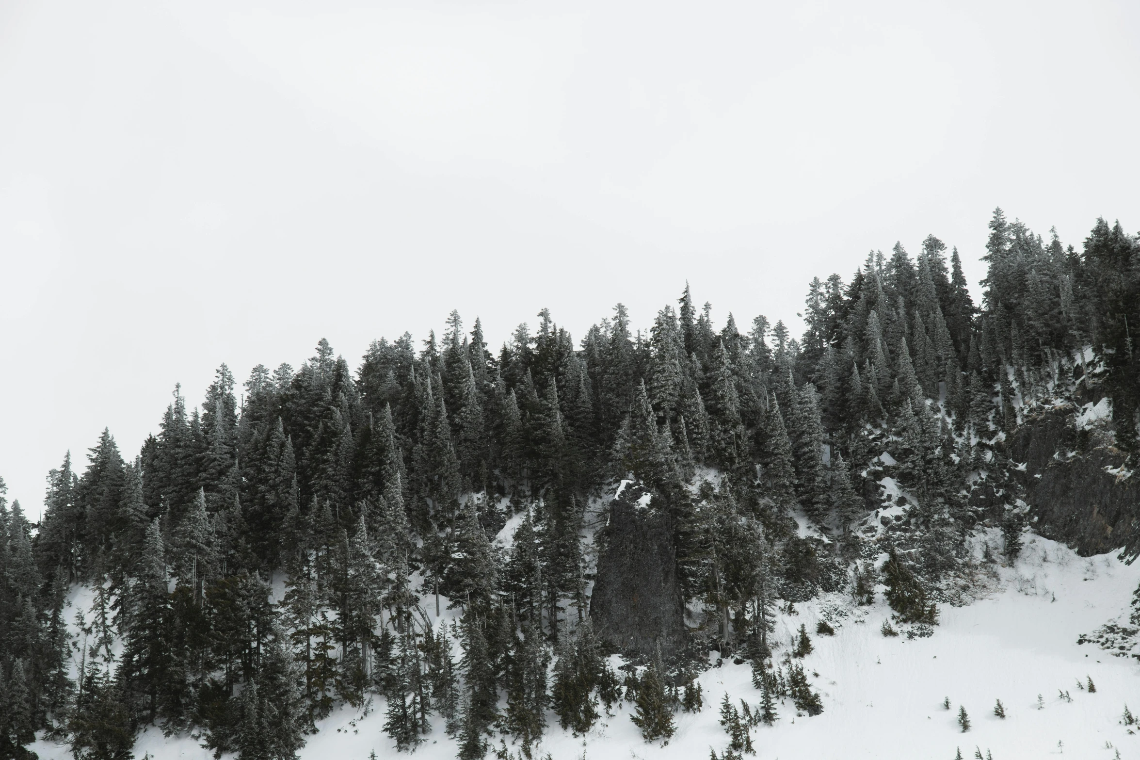 a man riding a snowboard down the side of a snow covered slope, a black and white photo, pexels contest winner, figuration libre, lush evergreen forest, (3 are winter, slightly pixelated, a cozy