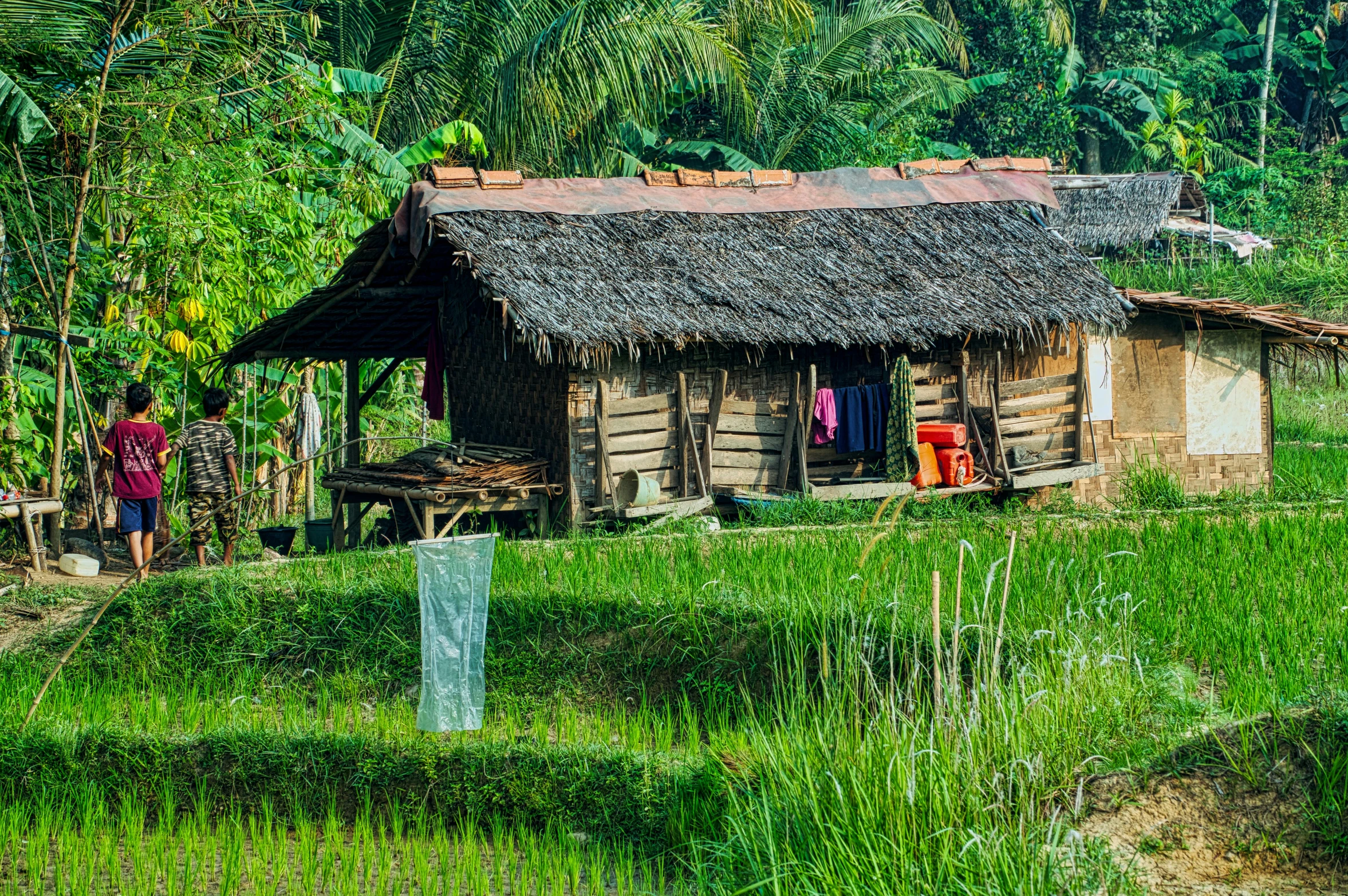 a hut sitting in the middle of a lush green field, inspired by Steve McCurry, pexels contest winner, sumatraism, fishing village, thumbnail, 1970s photo, tribal clothing