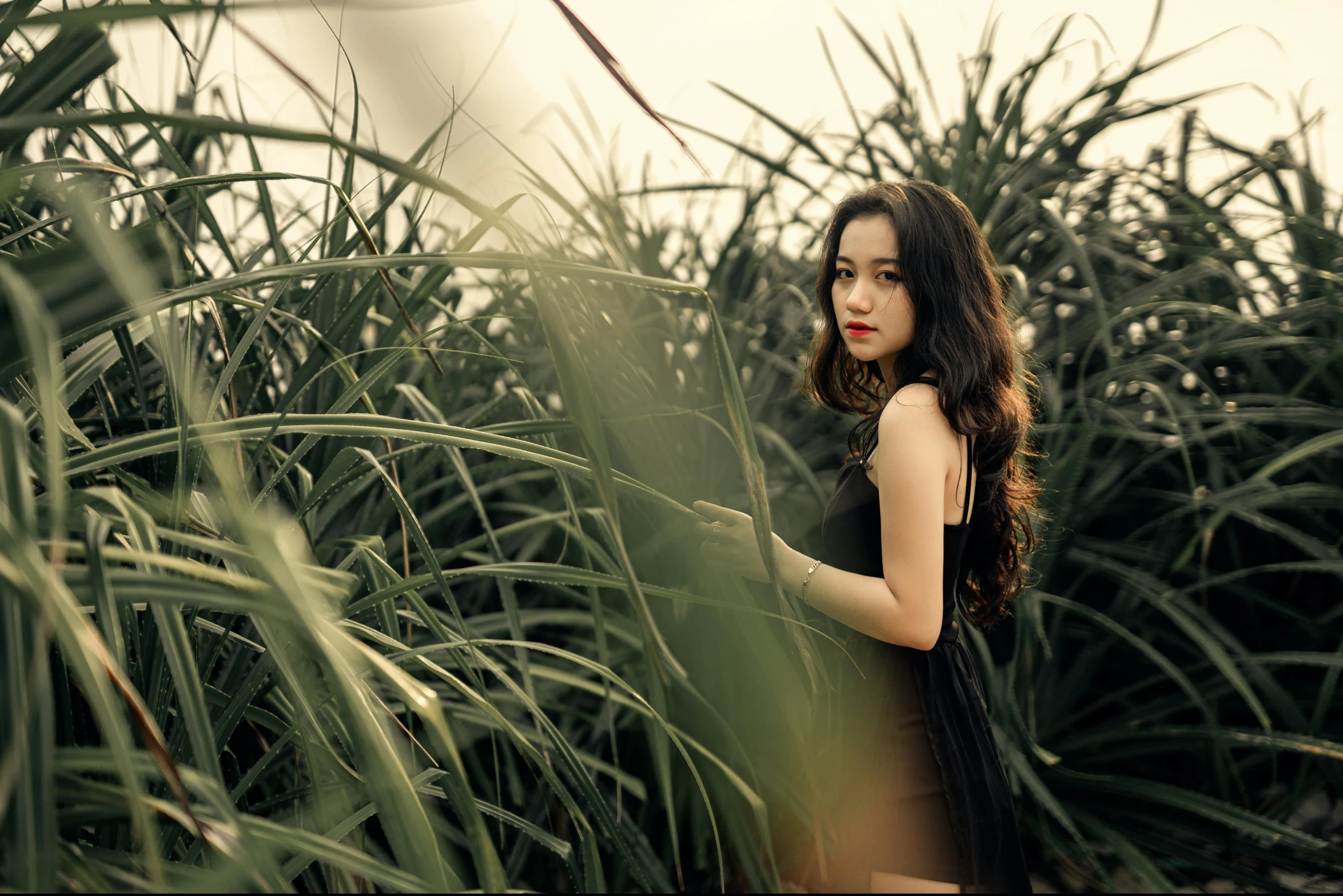 a woman standing in a field of tall grass, unsplash, renaissance, beautiful asian girl, in a jungle, black, medium format