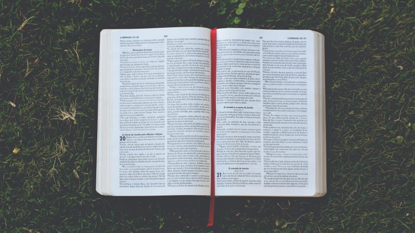 an open book sitting on top of a lush green field, by Carey Morris, pexels, christianity, with full descriptions, high angle close up shot, outside on the ground