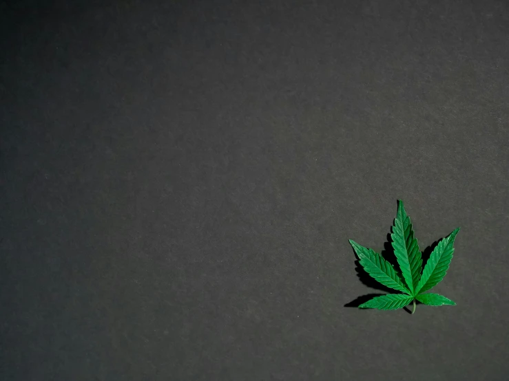 a green leaf sitting on top of a black surface, inspired by Mary Jane Begin, trending on pexels, 4 cannabis pots, 3d minimalistic, background image