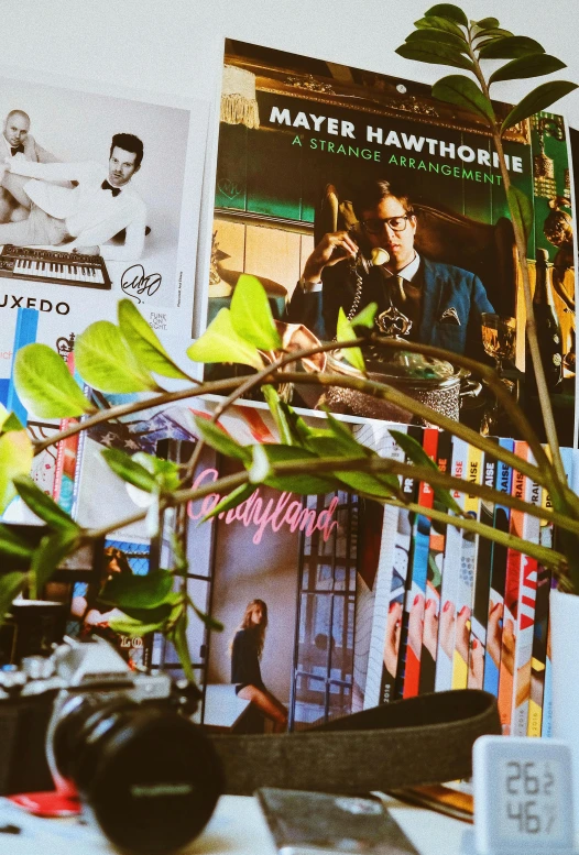 a plant that is sitting on a table, an album cover, maximalism, inside a french cafe, strathmore 2 0 0, plants in glasses, magazines