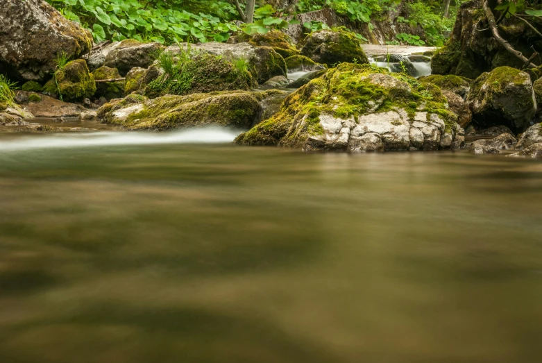 a stream running through a lush green forest, by Ivan Grohar, pexels contest winner, hurufiyya, floating rocks, closeup 4k, brown, multiple stories