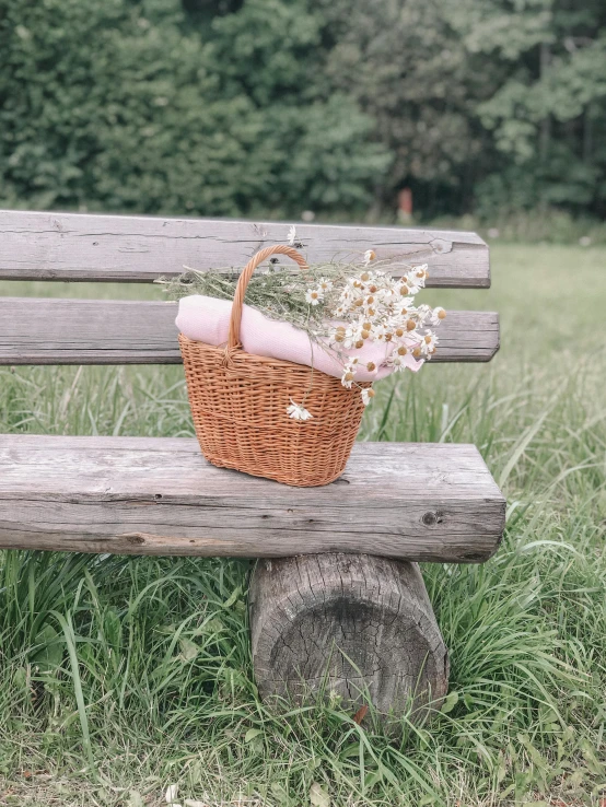 a basket of flowers sitting on top of a wooden bench, by Emma Andijewska, pexels contest winner, happening, pale pink grass, forest picnic, 🌸 🌼 💮, concert