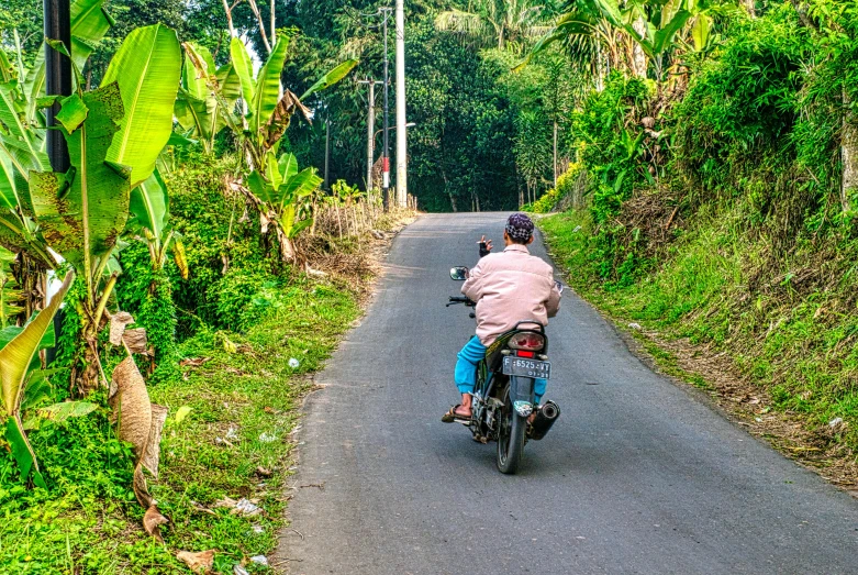 a man riding on the back of a motorcycle down a road, pexels contest winner, sumatraism, lush greens, thumbnail, tropical location, secretly on a village