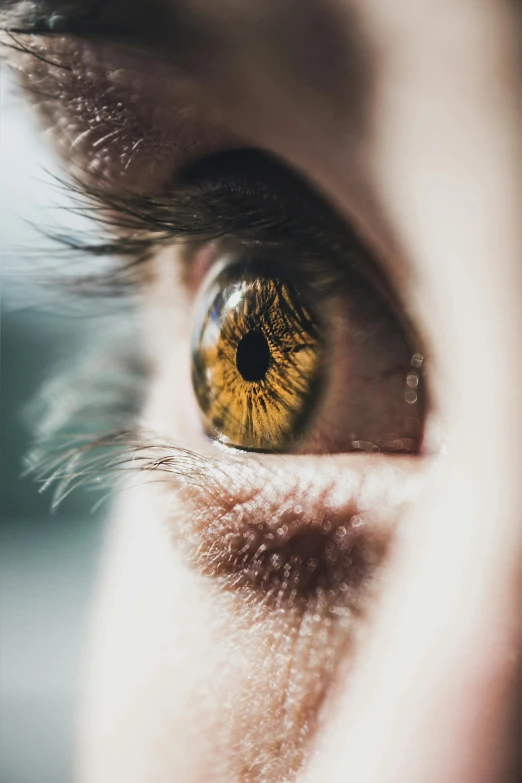 a close up of a person's eye, trending on pexels, golden yellow eyes, looking off into the distance, instagram post, from the waist up