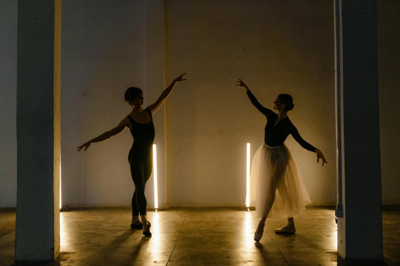a couple of women standing next to each other in a room, pexels contest winner, light and space, dark ballerina, loop lighting, profile image, choreographed