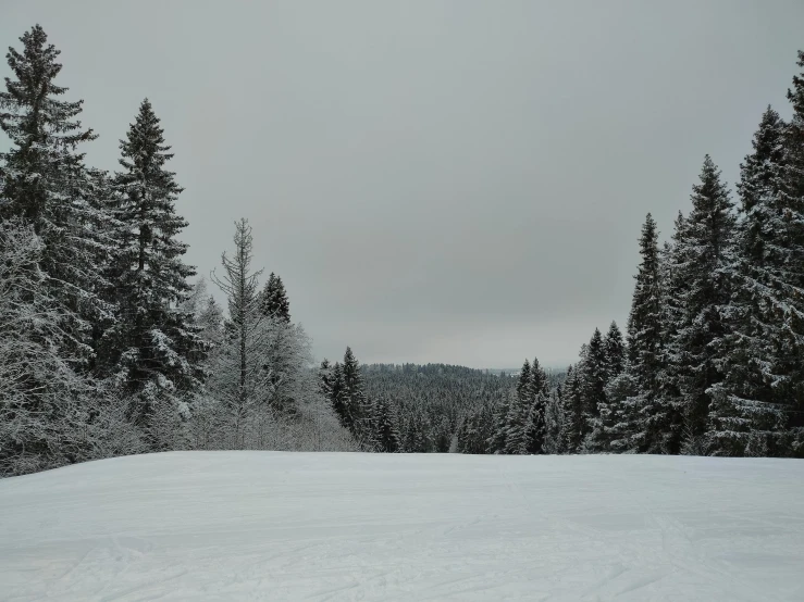 a person riding skis down a snow covered slope, by Emma Andijewska, pexels contest winner, les nabis, sparse pine trees, overcast gray skies, view from the distance, (3 are winter