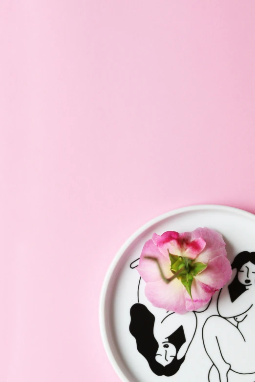 a pink flower sitting on top of a white plate, an album cover, inspired by Henriette Grindat, accentuated feminine features, eating, illustration », minimalissimo