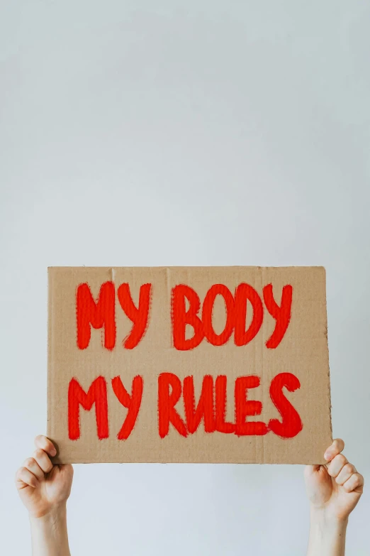 a person holding a sign that says my body my rules, pexels contest winner, symmetric body, contracept, ilustration, cardboard