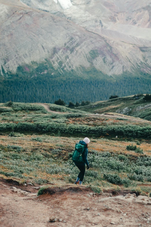 a person with a backpack walking up a hill, by Jessie Algie, trending on unsplash, alaska, lush surroundings, colorado mountains, muted colors. ue 5