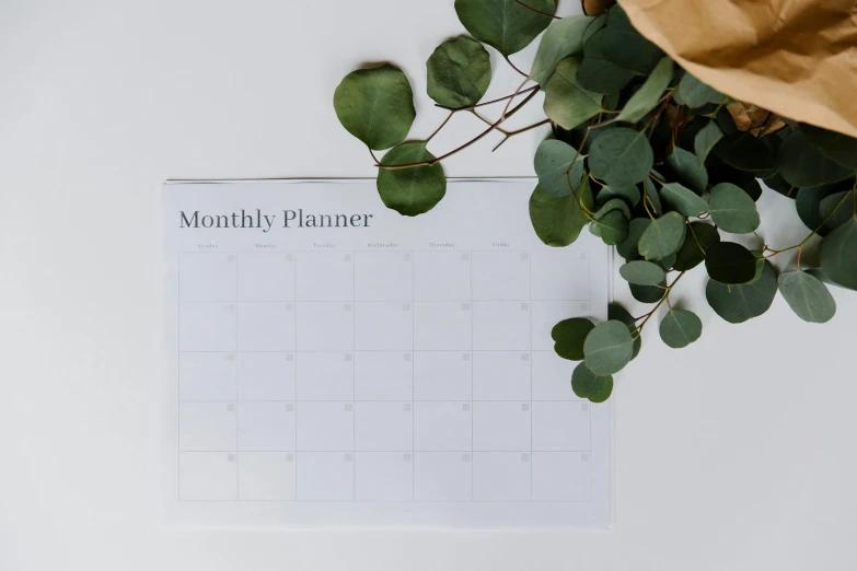 a calendar sitting on top of a table next to a plant, trending on pexels, minimalism, 1 6 x 1 6, background image, planner stickers, eucalyptus