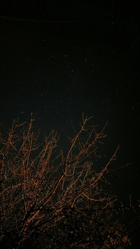 an airplane flying over a tree at night, by Attila Meszlenyi, scattered golden flakes, low quality photo, instagram photo, cinematic shot ar 9:16 -n 6 -g