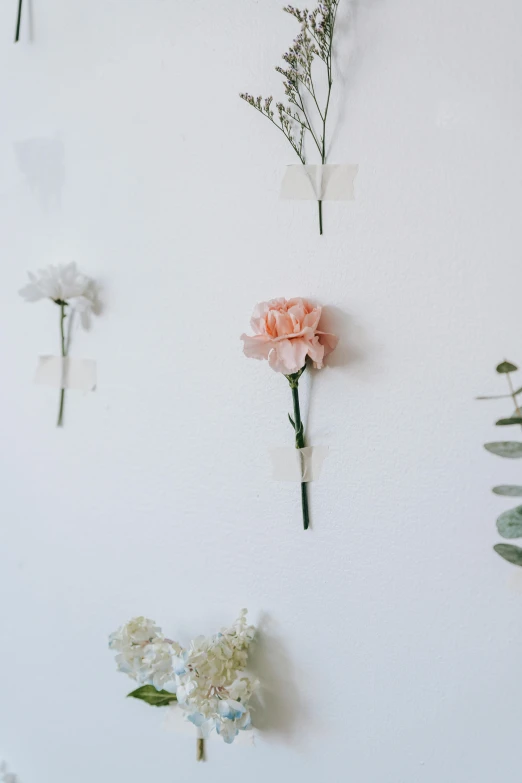 a bunch of flowers that are on a wall, trending on unsplash, romanticism, made of silk paper, very minimalistic, delicate patterned, pins of light