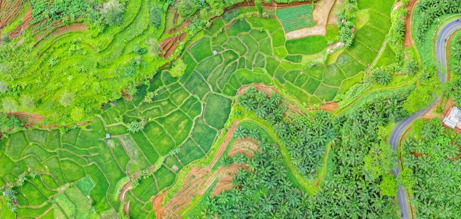 an aerial view of a lush green valley, a digital rendering, by Daniel Lieske, shutterstock, sumatraism, patchwork, farming, vibrant patterns, permaculture