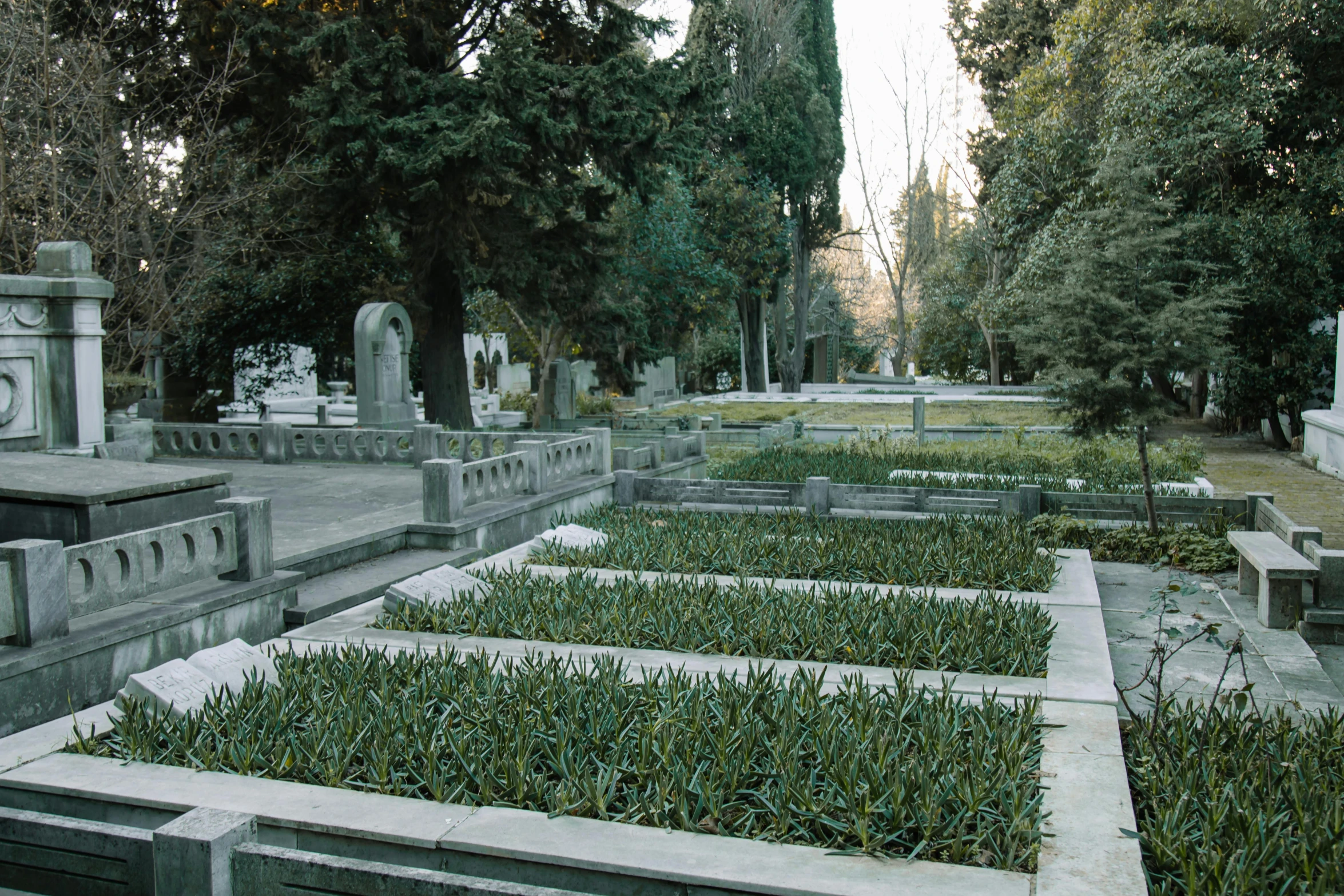 a cemetery filled with lots of tombstones and trees, an album cover, inspired by Francisco Zúñiga, unsplash, art nouveau, tehran, planters, ramps, 2 0 0 4 photograph