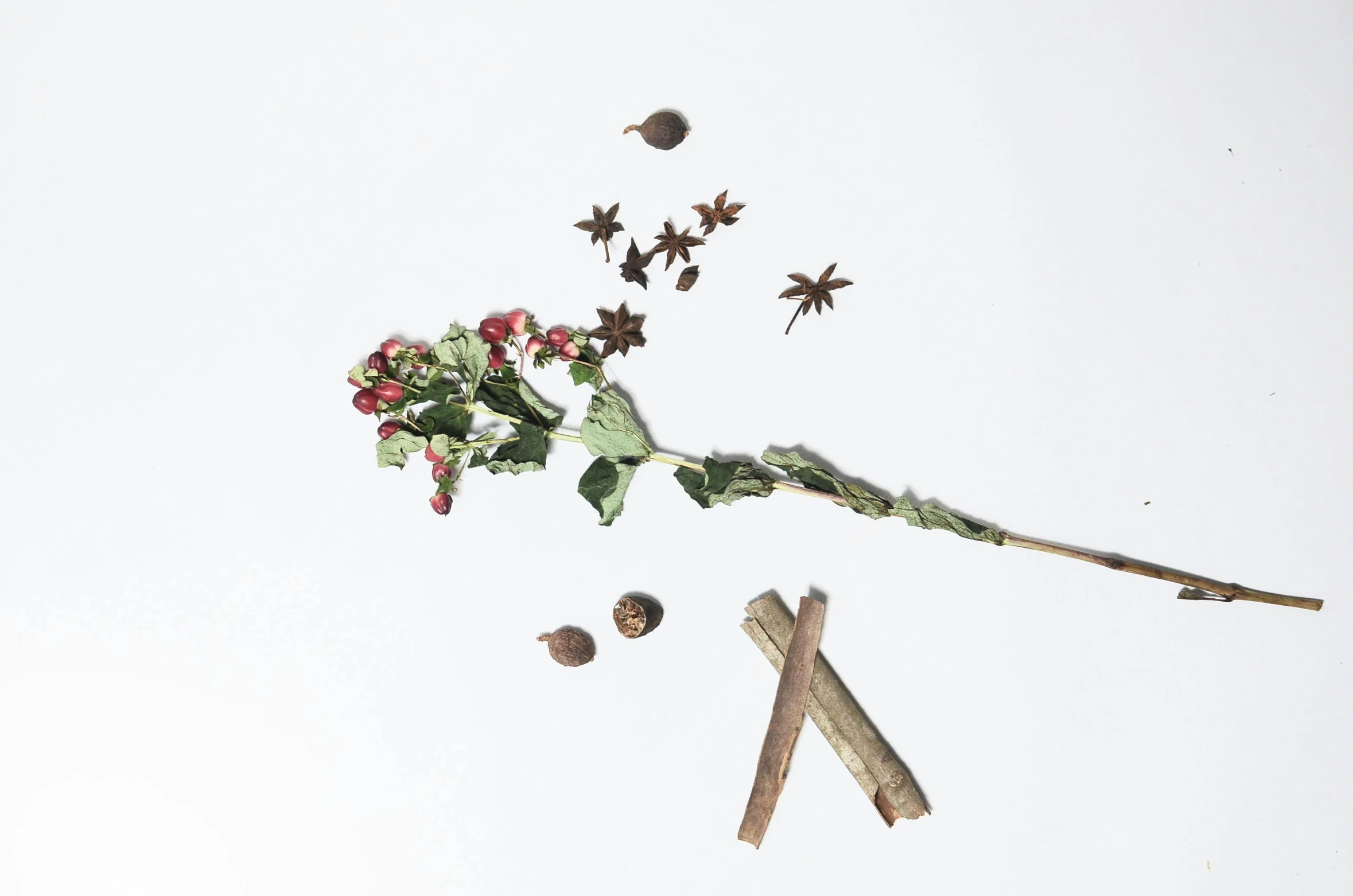 a flower and some spices on a white surface, inspired by Anna Füssli, trending on unsplash, assemblage, tiny sticks, rose-brambles, ilustration, the stars