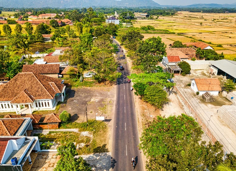 an aerial view of a street in a rural area, pexels contest winner, realism, sri lankan landscape, background image, square, vibrant and vivid