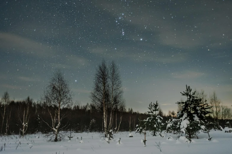 a snow covered field with trees and a sky full of stars, by Jesper Knudsen, hasselblad photography, neo norilsk, getty images, planets align