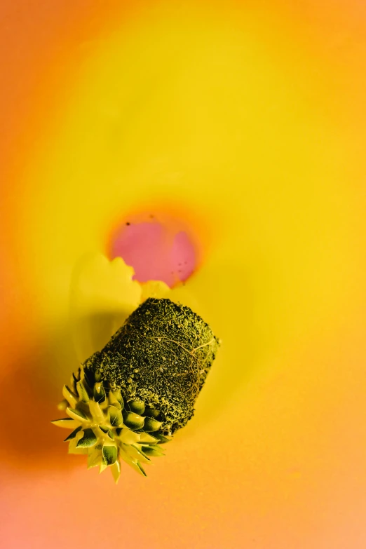 a piece of broccoli sitting on top of a table, a macro photograph, inspired by Otto Piene, art photography, flowering pineapples, yellow-orange, abstract holescape, shot on sony a 7